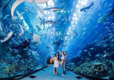 The National Aquarium Abu Dhabi