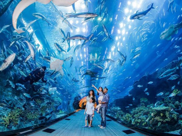 The National Aquarium Abu Dhabi