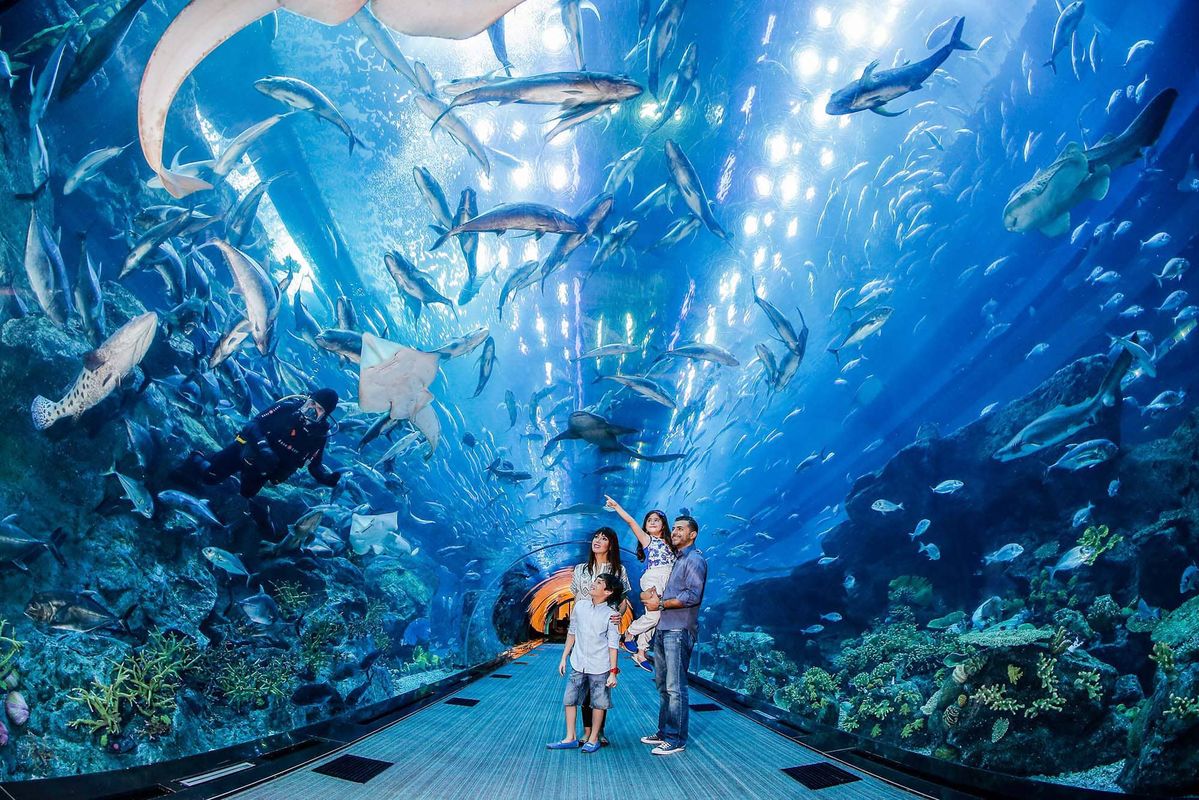 National Aquarium