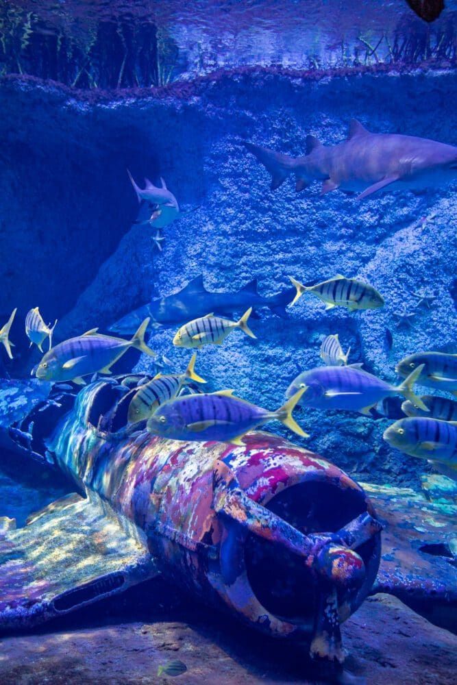 National Aquarium