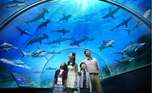 Singapore Oceanarium