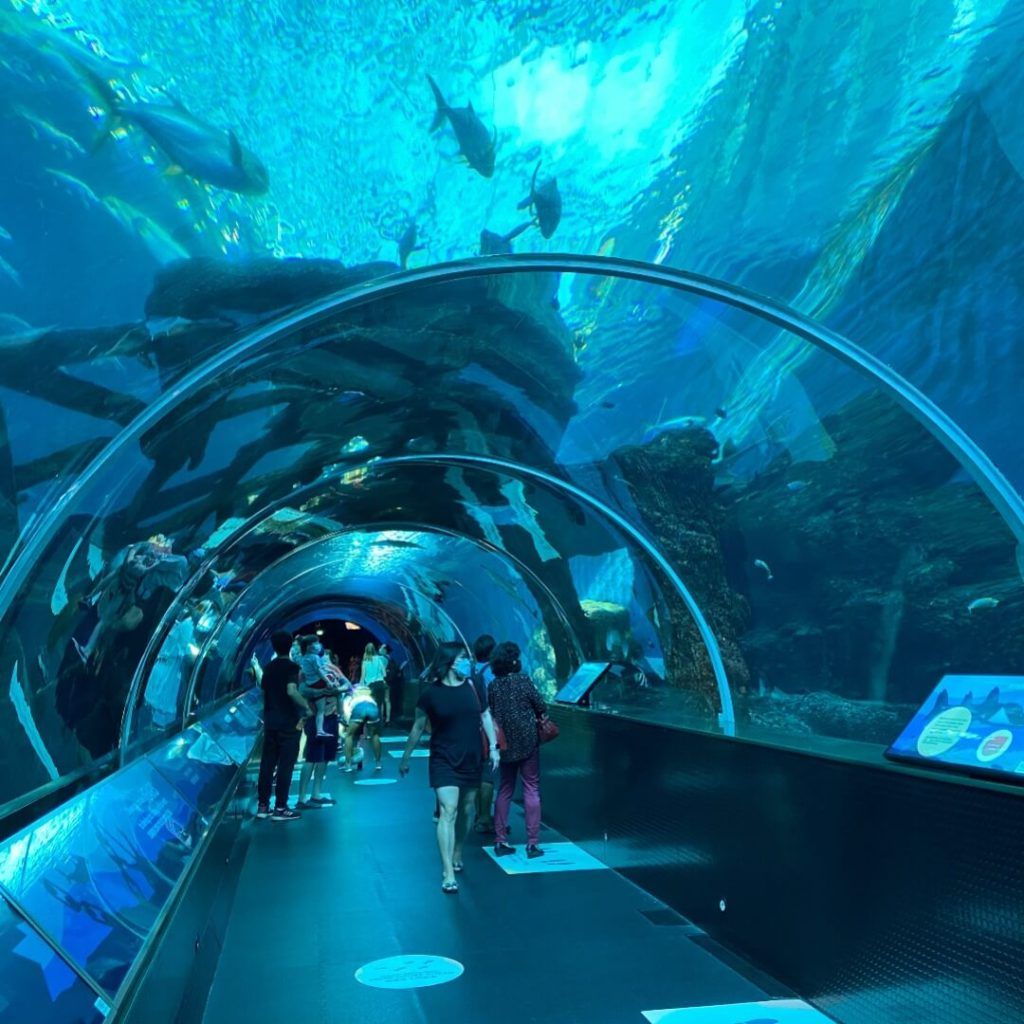 Singapore Oceanarium