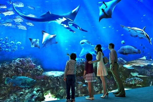 Singapore Oceanarium
