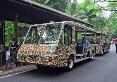Singapore Zoo with Tram Ride
