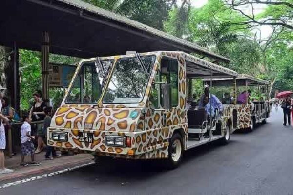Singapore Zoo with Tram Ride