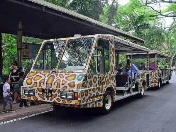 Singapore Zoo with Tram Ride