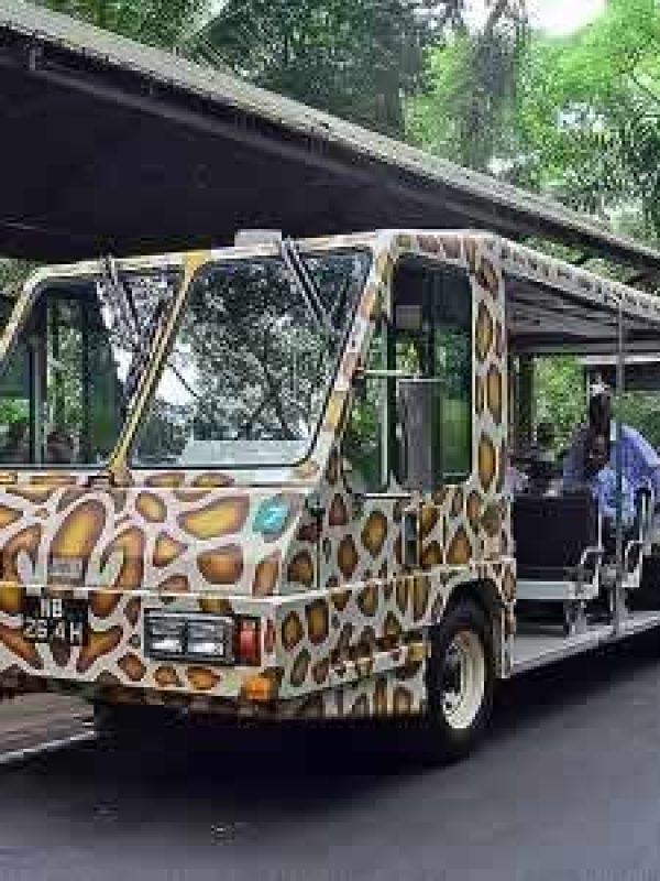 Singapore Zoo with Tram Ride