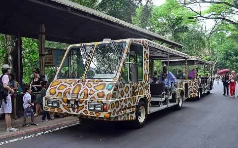 Singapore Zoo with Tram Ride