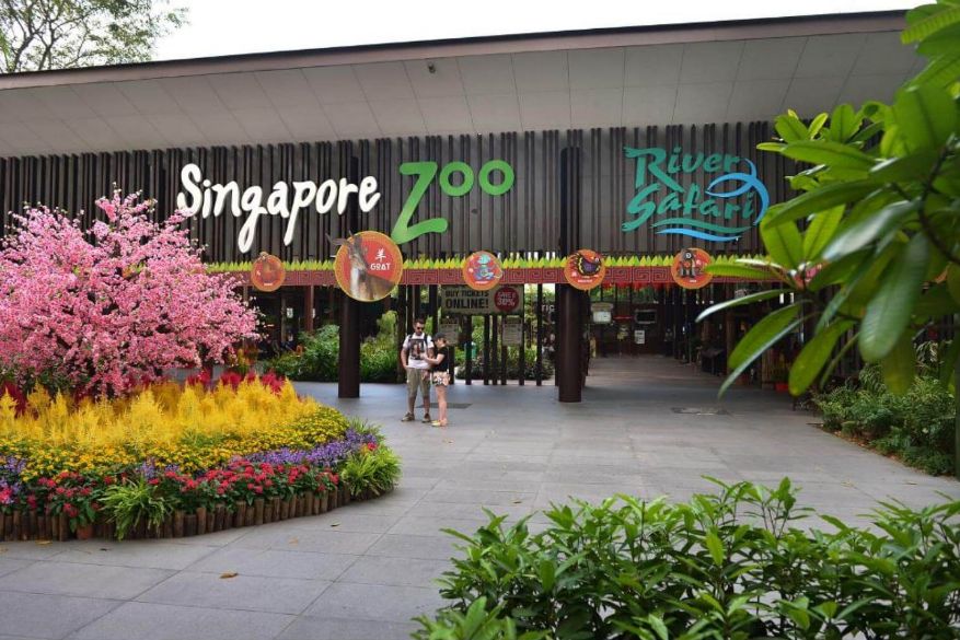 Singapore Zoo with Tram Ride