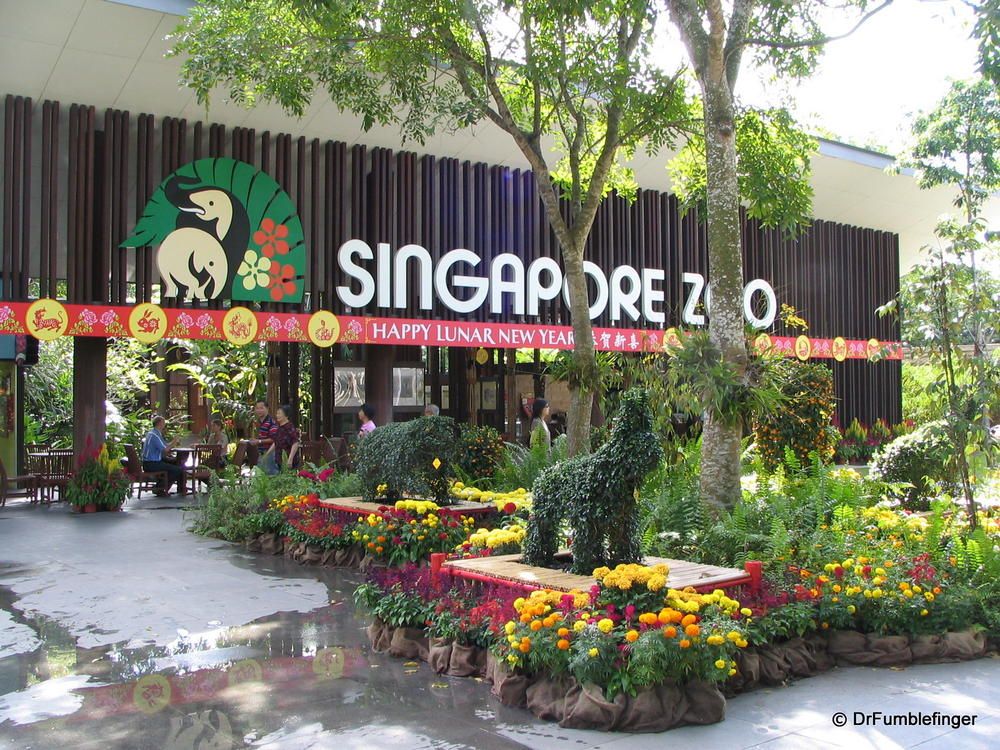 Singapore Zoo with Tram Ride