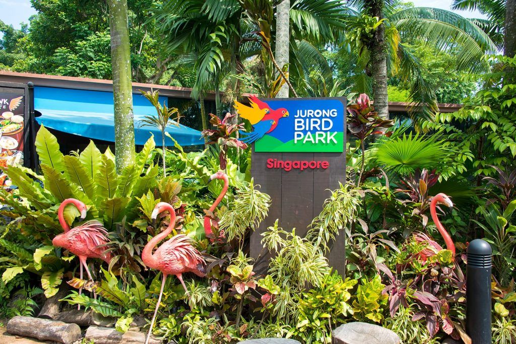 Singapore Zoo with Tram Ride