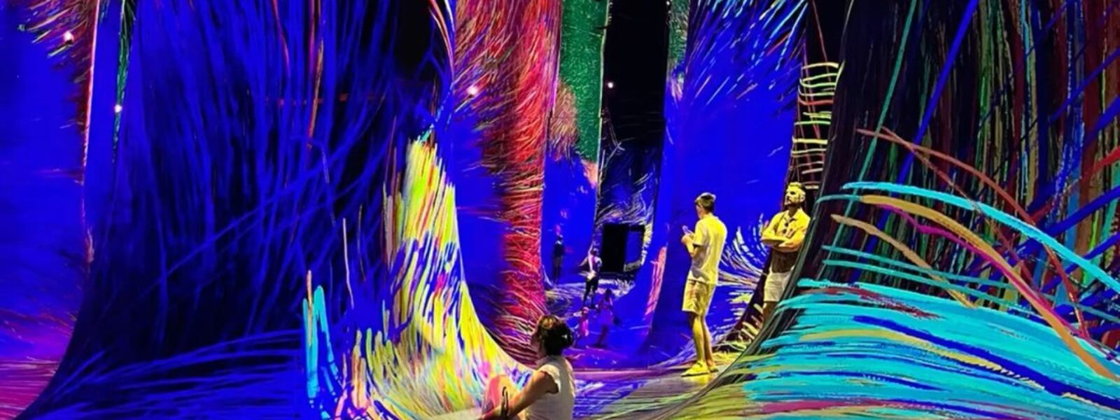 TeamLab Phenomena