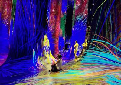 TeamLab Phenomena
