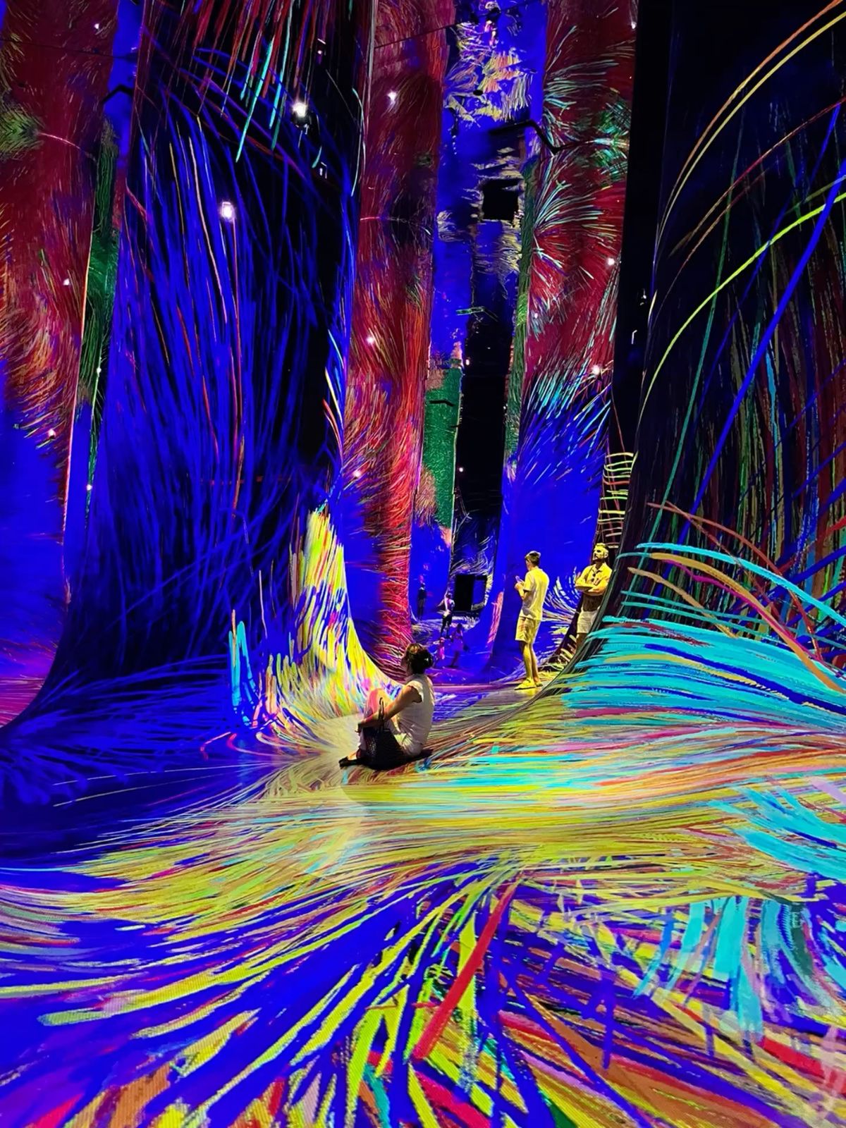 TeamLab Phenomena