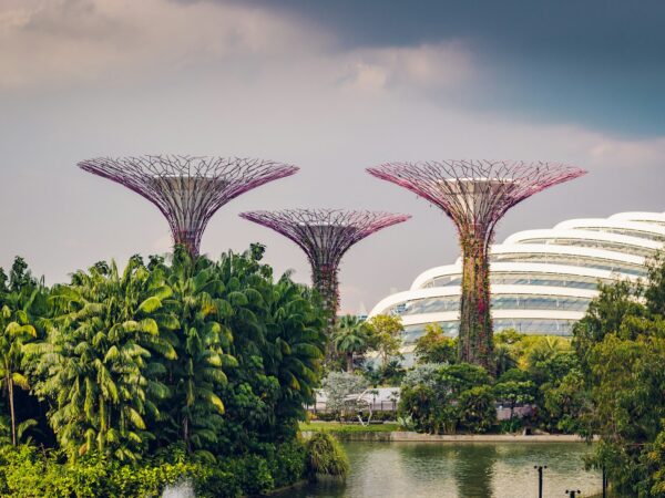 Gardens by the Bay