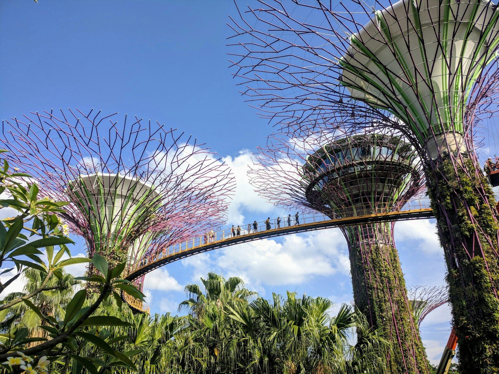 Gardens by the Bay