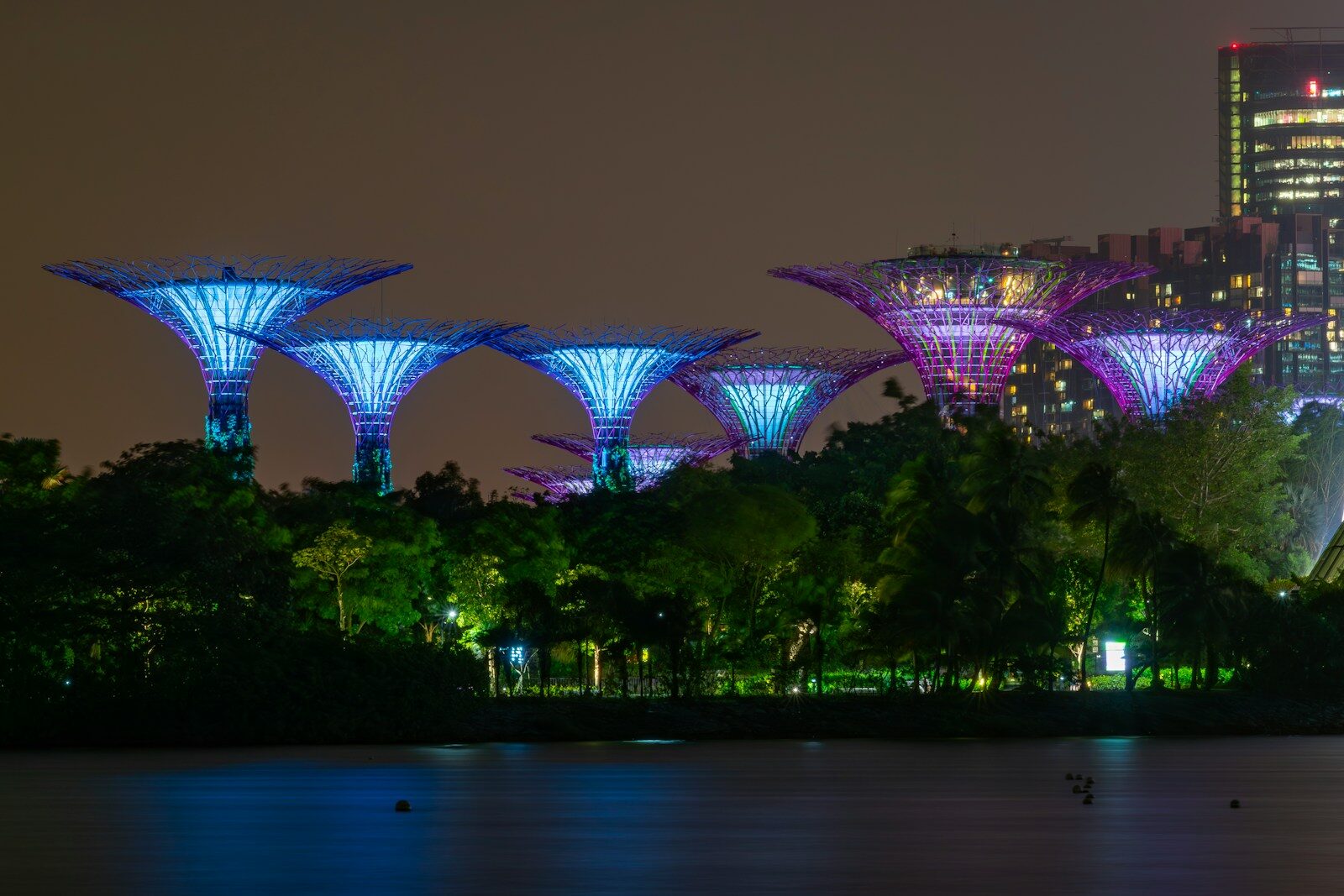 Night Safari Singapore