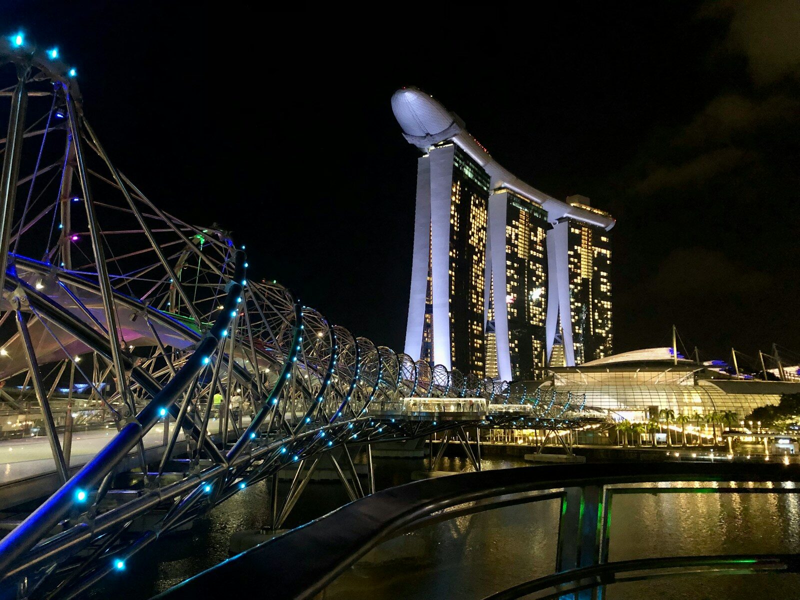 Night Safari Singapore