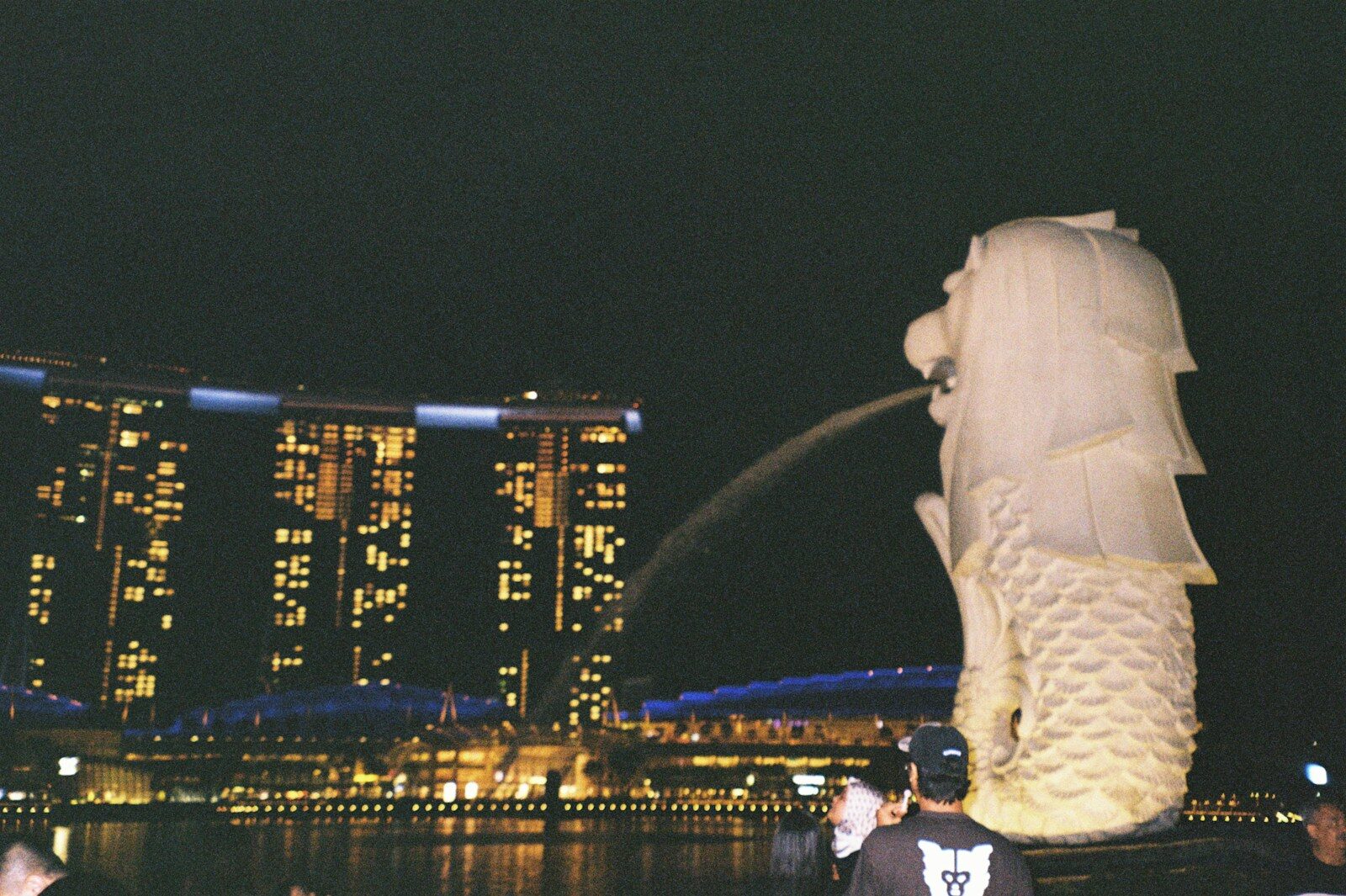 Night Safari Singapore