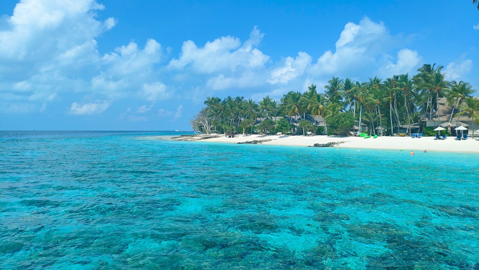 Coral Island