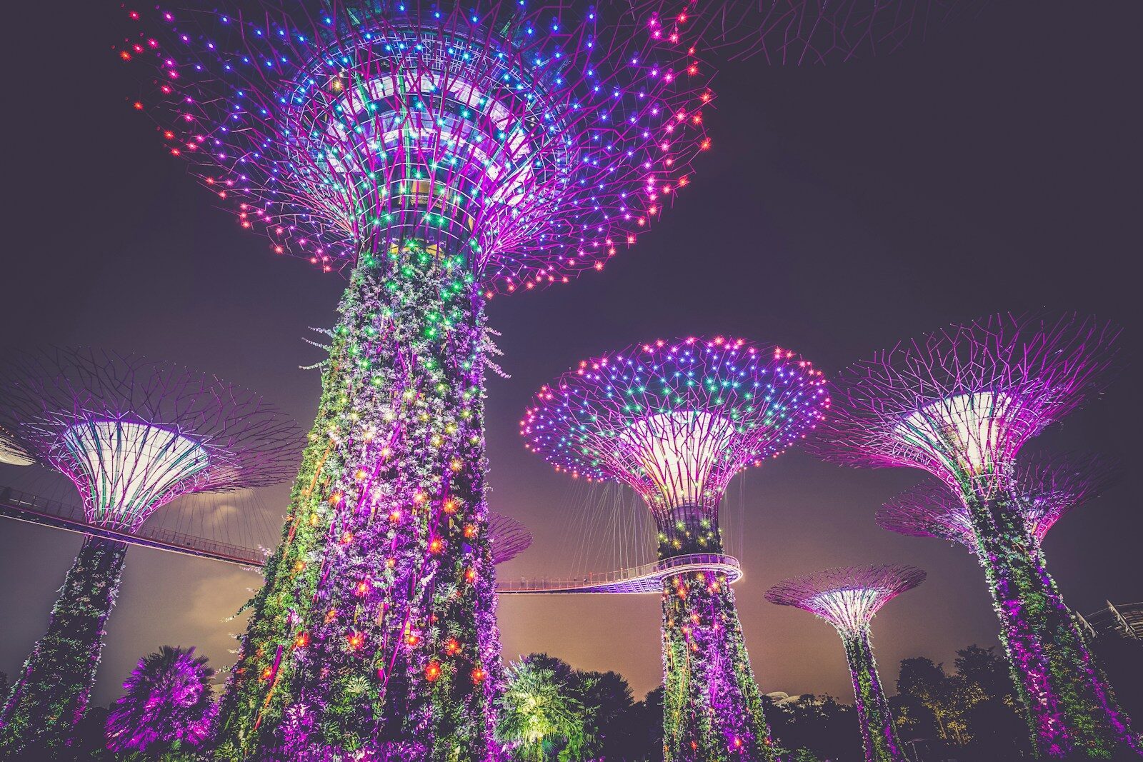 Gardens by the Bay