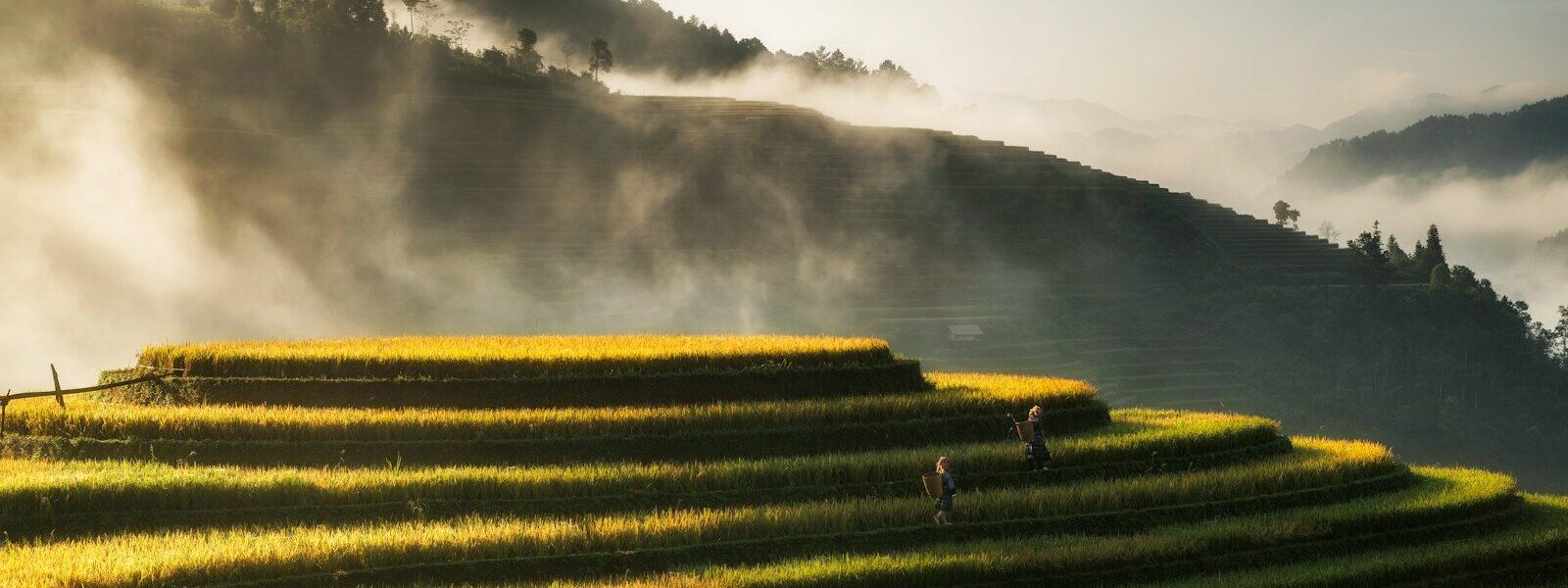 Vietnam with Friends
